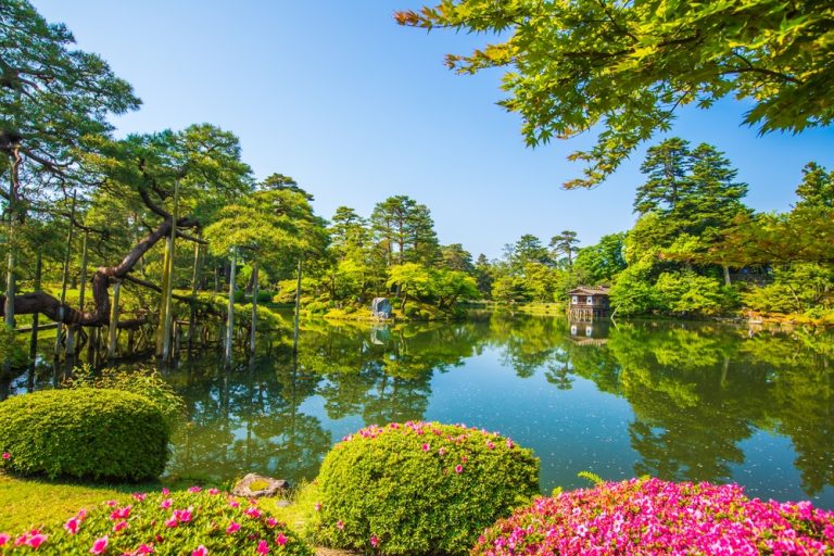 things to do in kyoto
