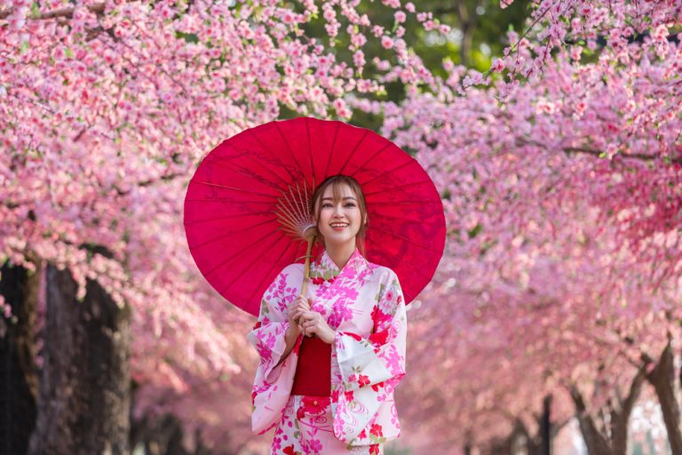 Cherry Blossoms in Japan