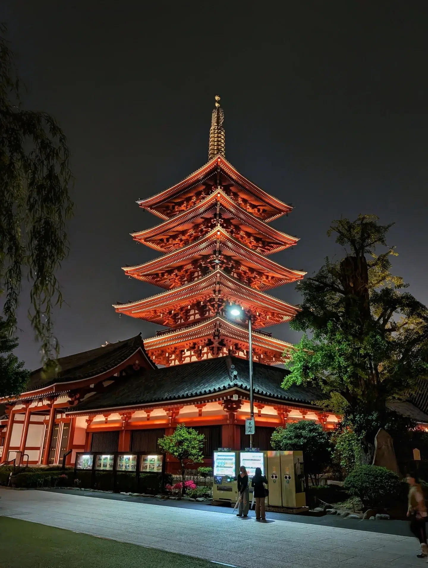 Tokyo Nightlife