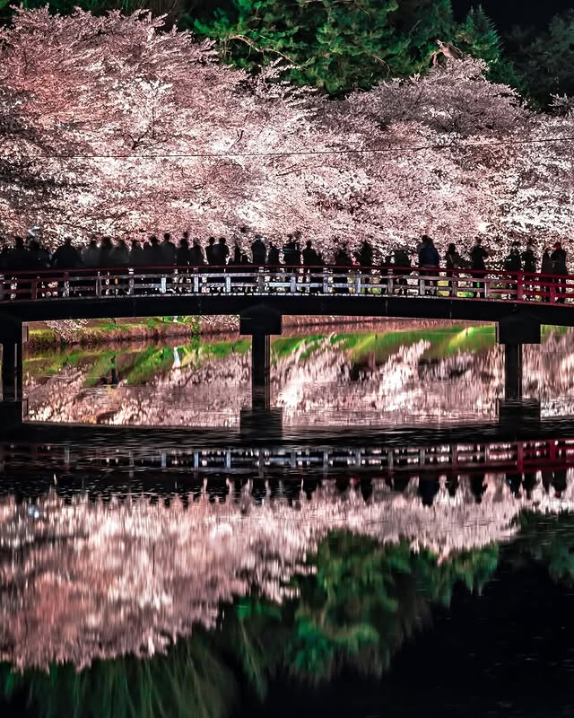 Hirosaki Cherry Blossom Festival