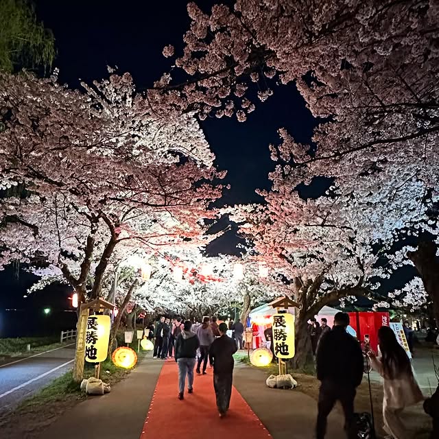 Kitakami Tenshochi Festival