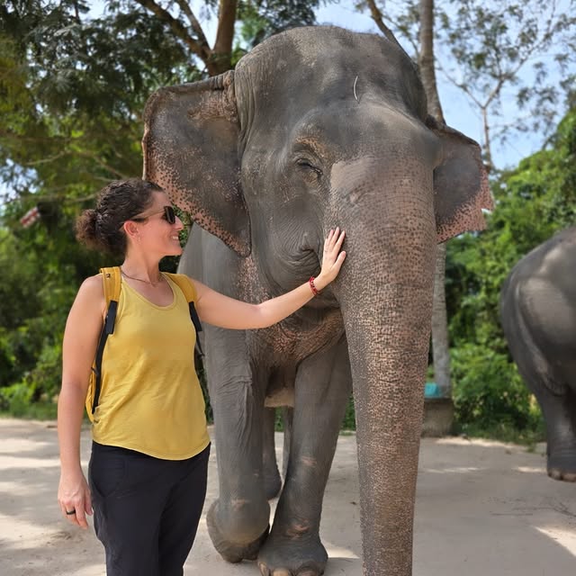 A Day with the Elephants