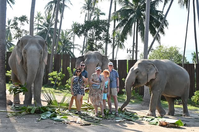 Elephant Jungle Sanctuary Samui