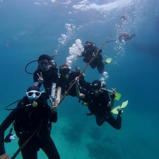 Scuba Diving