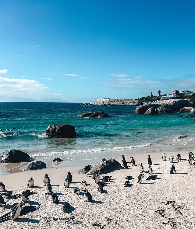 Boulders Beach