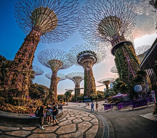 Gardens by the Bay