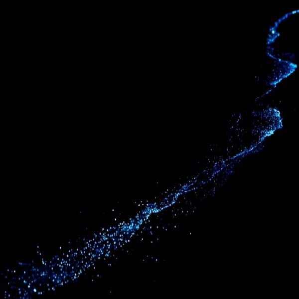 Bioluminescent Beaches Maldives