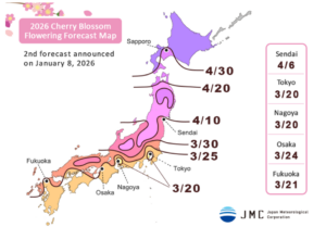 Best Place to See Cherry Blossoms in Japan: Top Viewing Spots - Dimaak