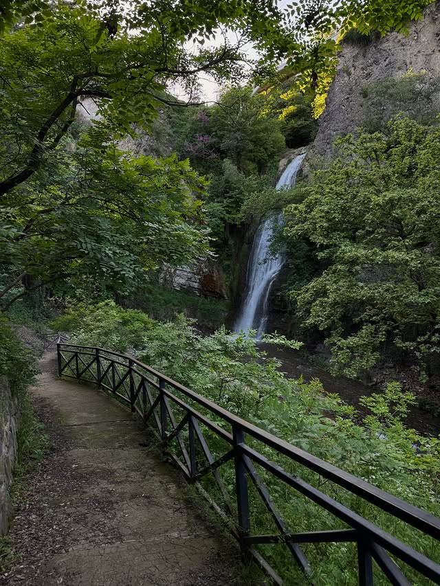 Tbilisi Botanical Garden
