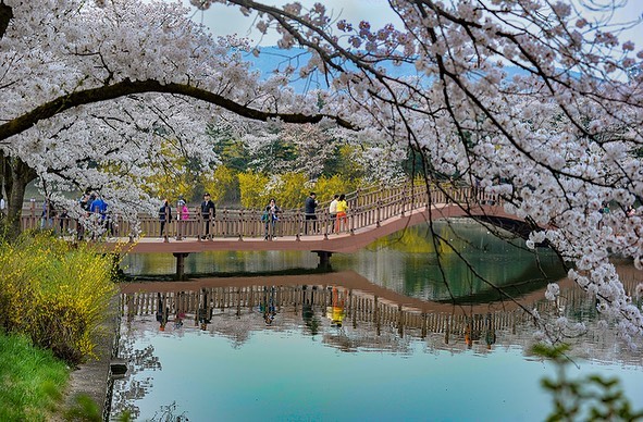 Bomun Lake, Gyeongju