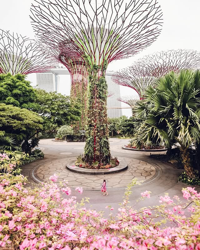 Gardens by the Bay