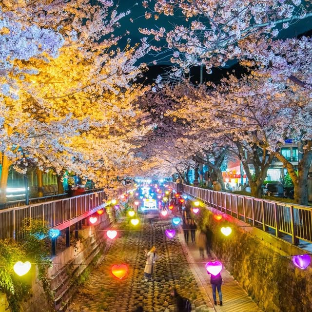 Gyeonghwa Station, Jinhae