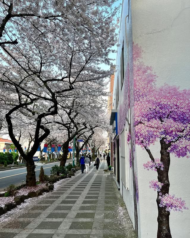 Jeonnong-ro Street, Jeju