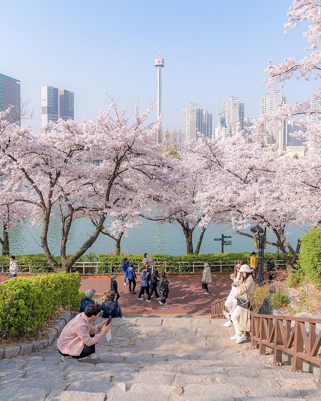 Seokchon Lake, Seoul