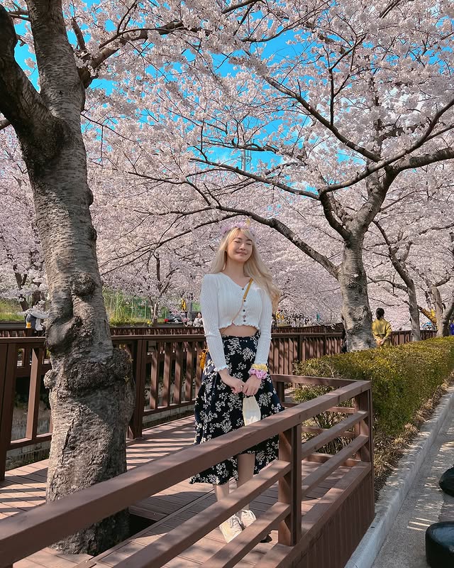 Yeojwacheon Stream, Jinhae