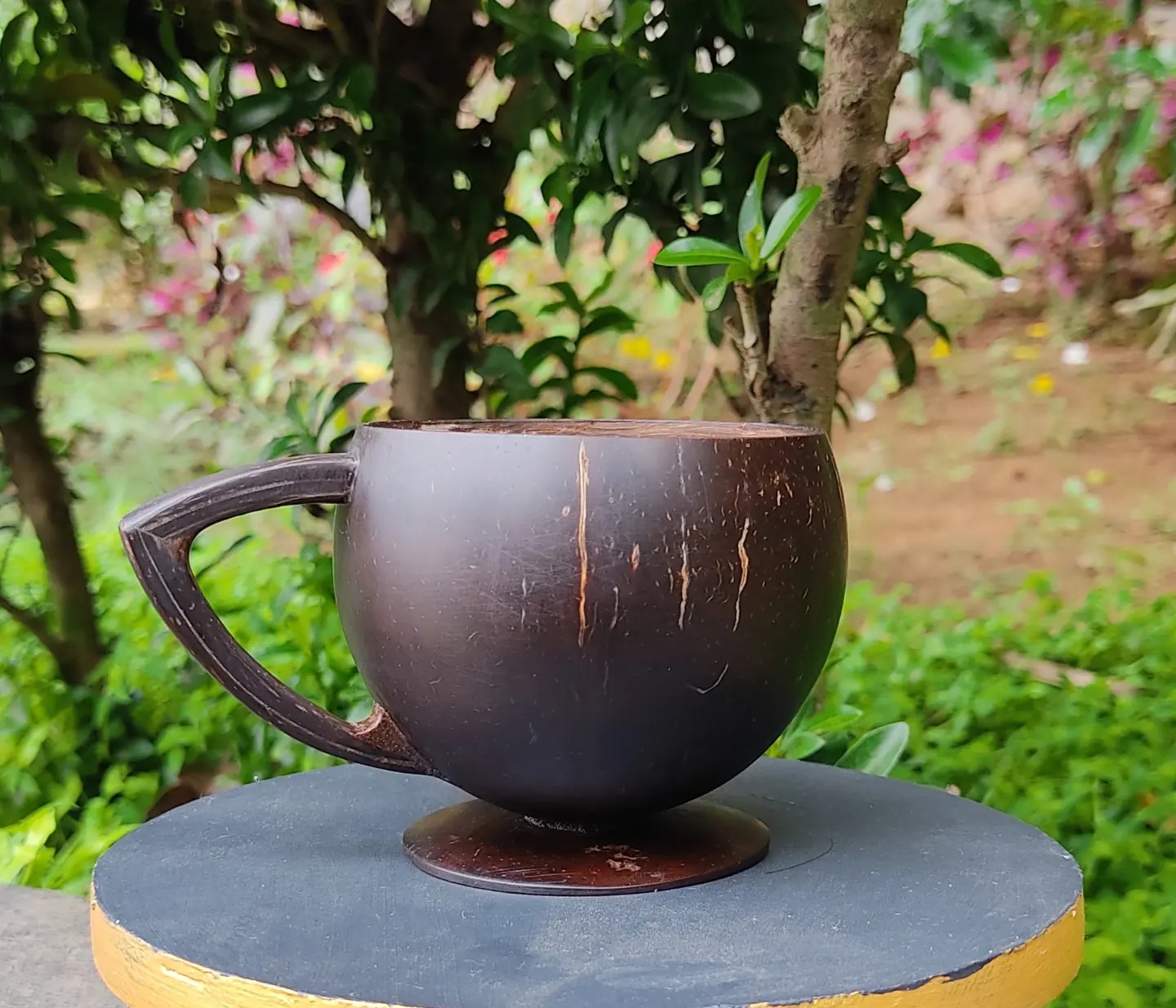 Coconut Shell Crafts