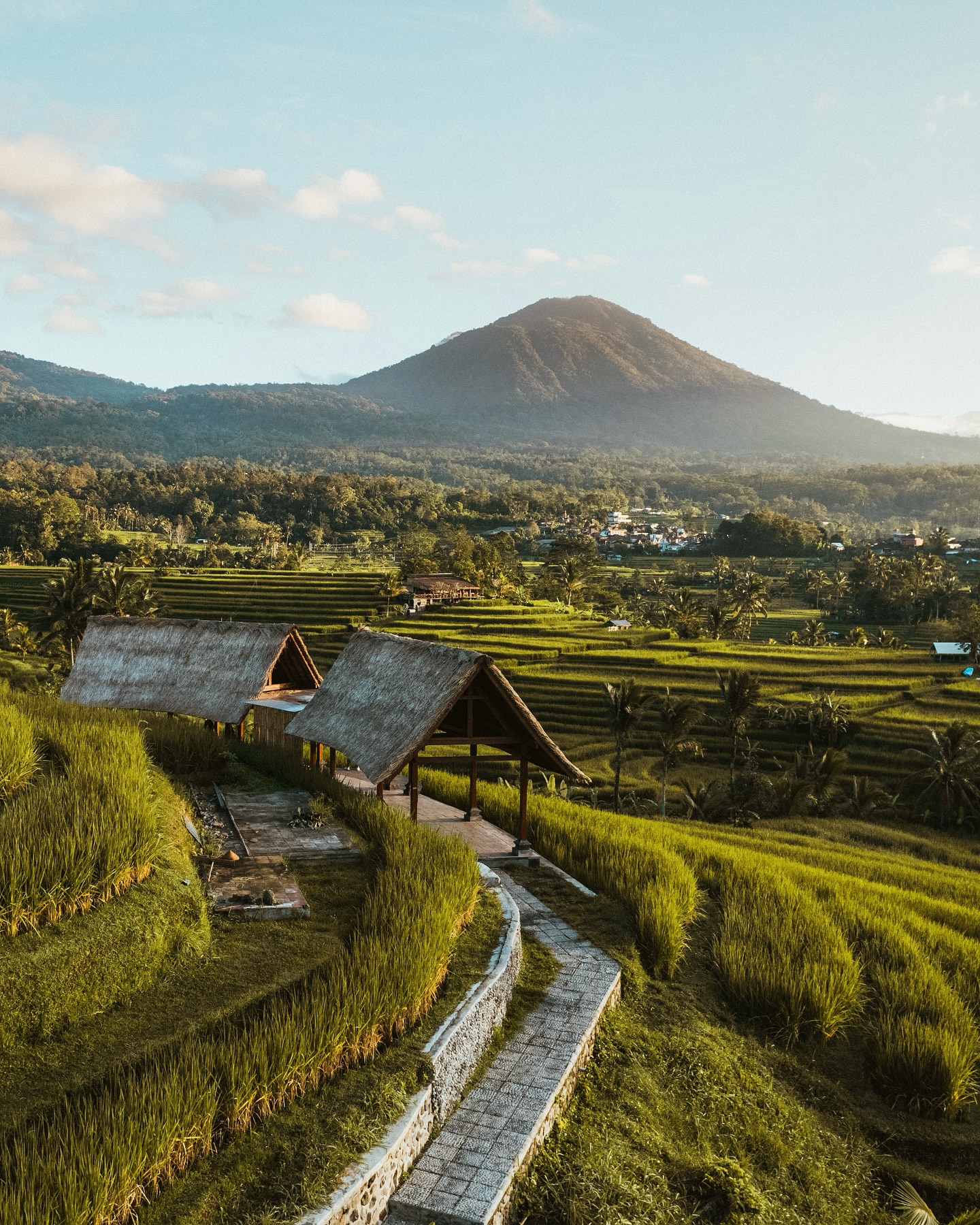Cycle Through the Jatiluwih Rice Terraces, Bali