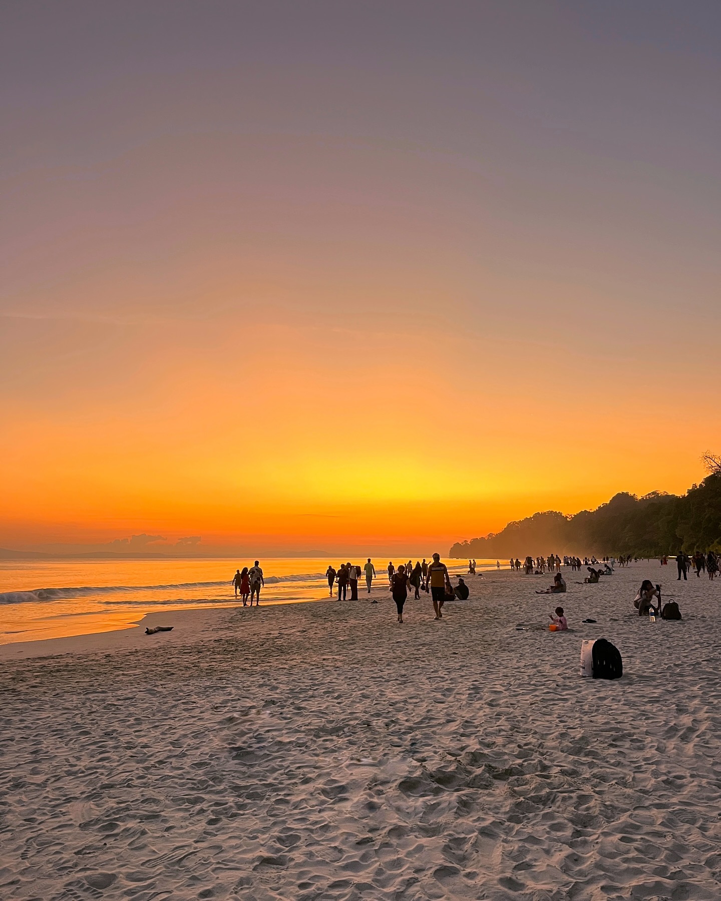Elephant Beach
