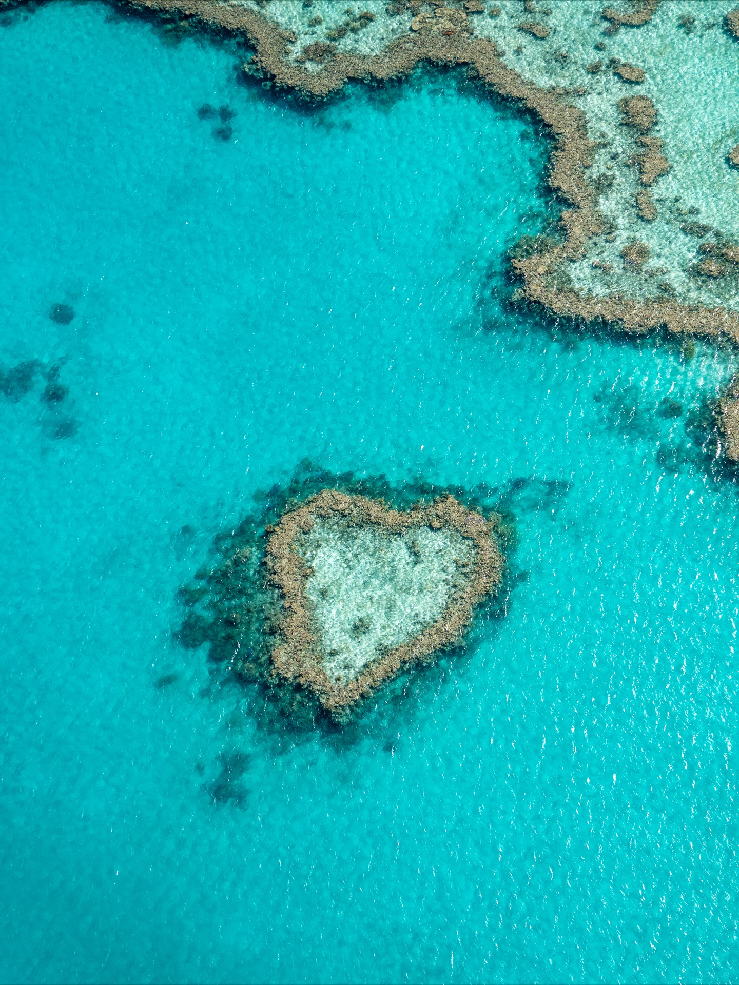 Great Barrier Reef