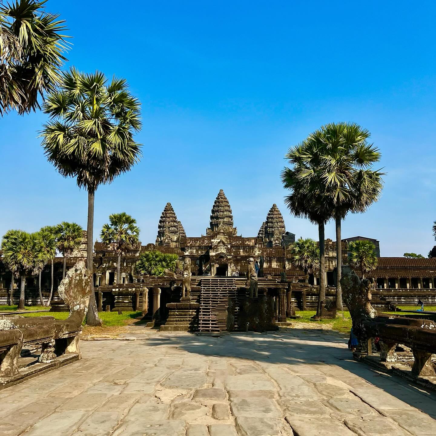 Koh Dach