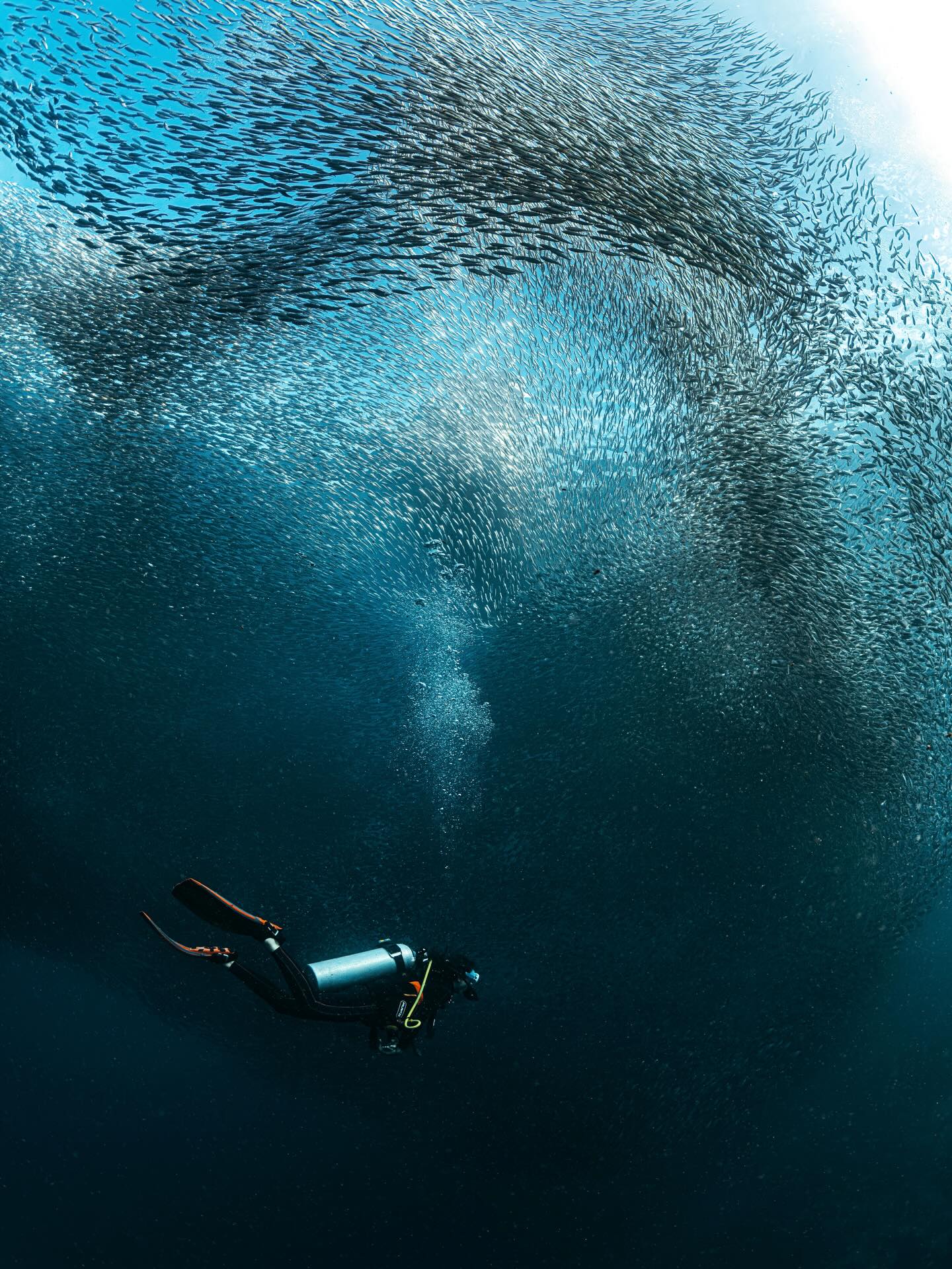 Moalboal, Philippines
