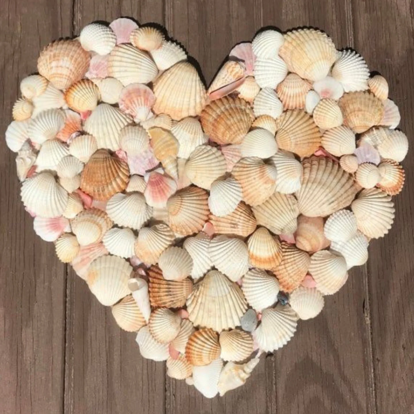 Shell Crafts