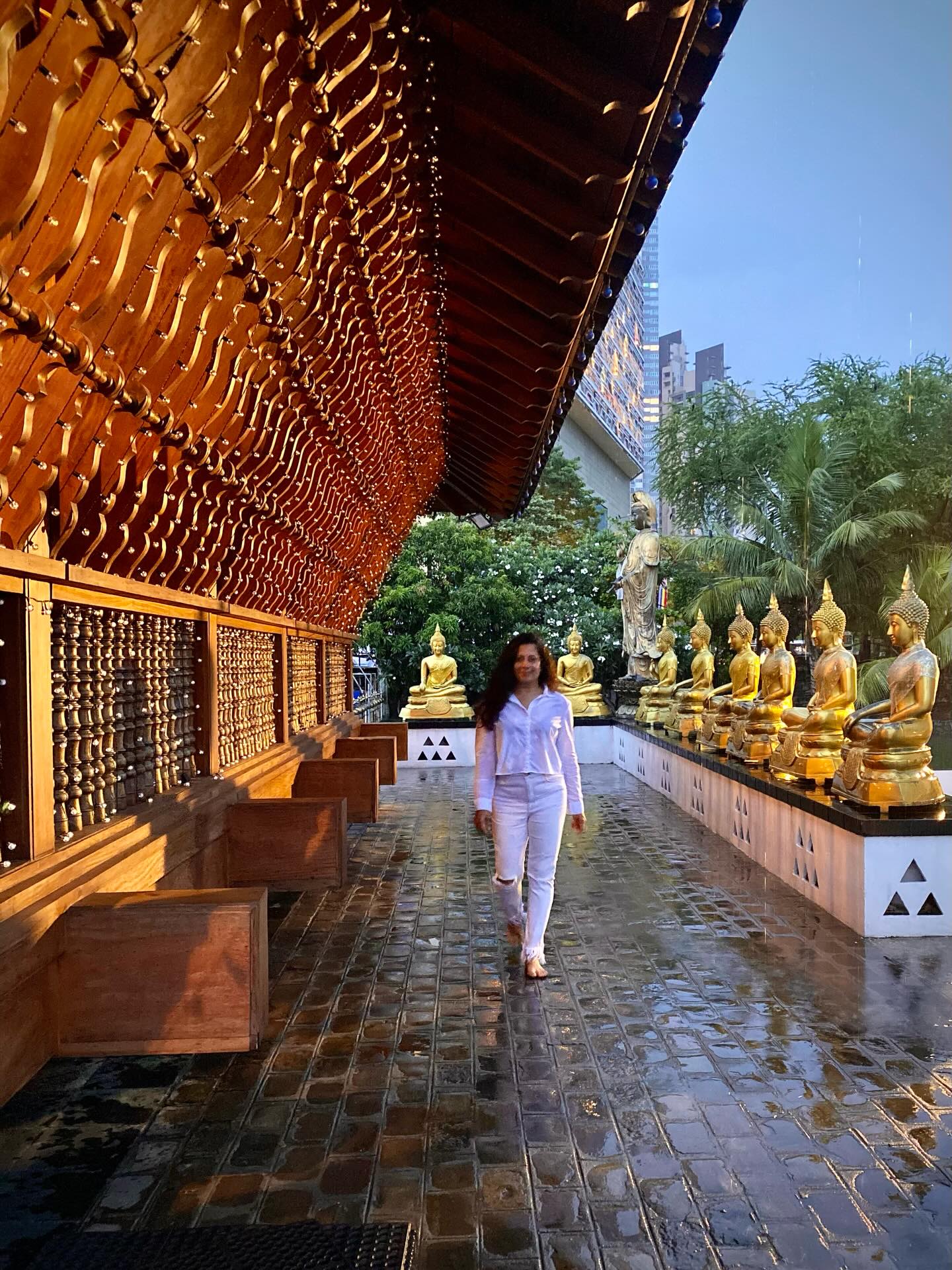 Visit Gangaramaya Temple