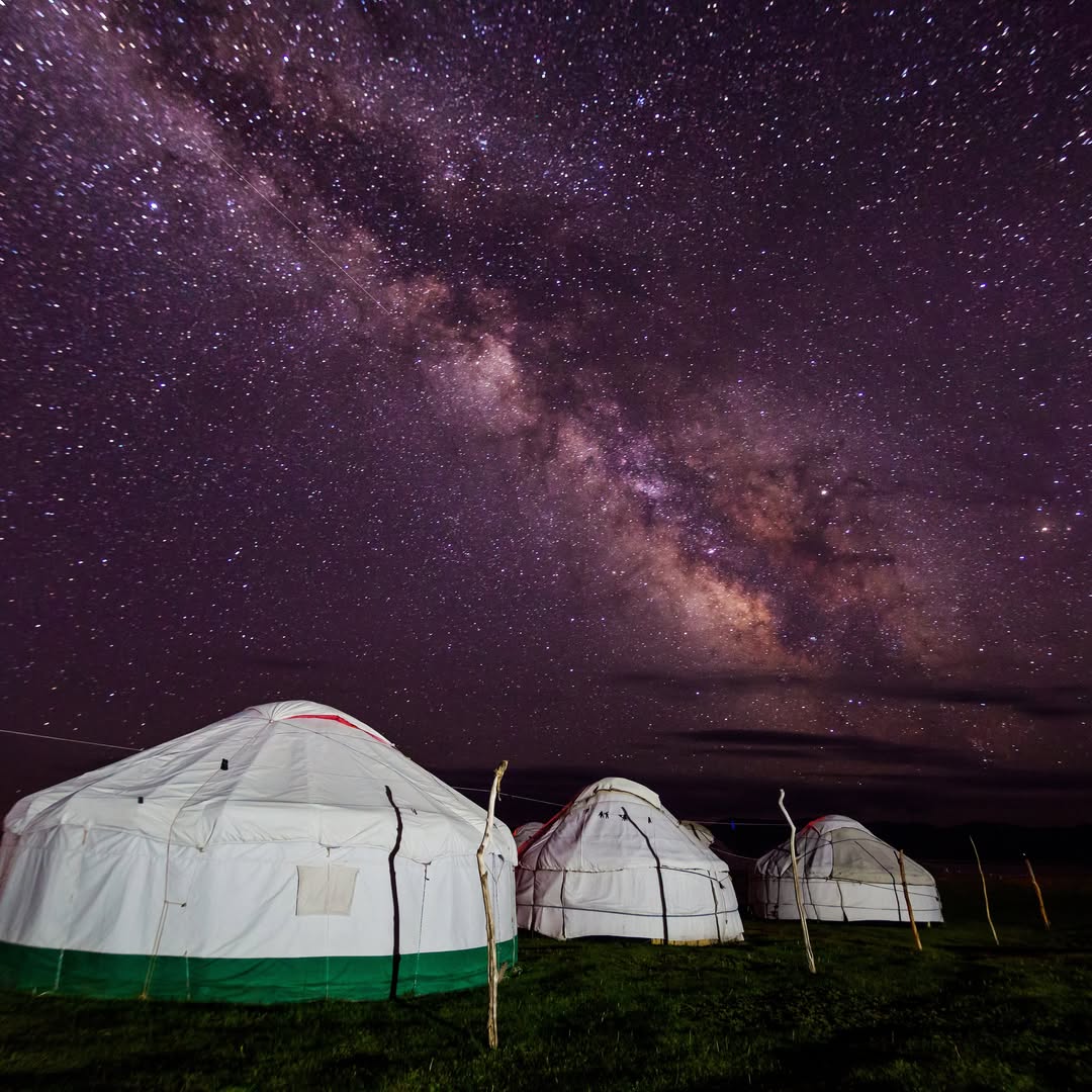 Stay a Night in a Yurt Camp near Nurata