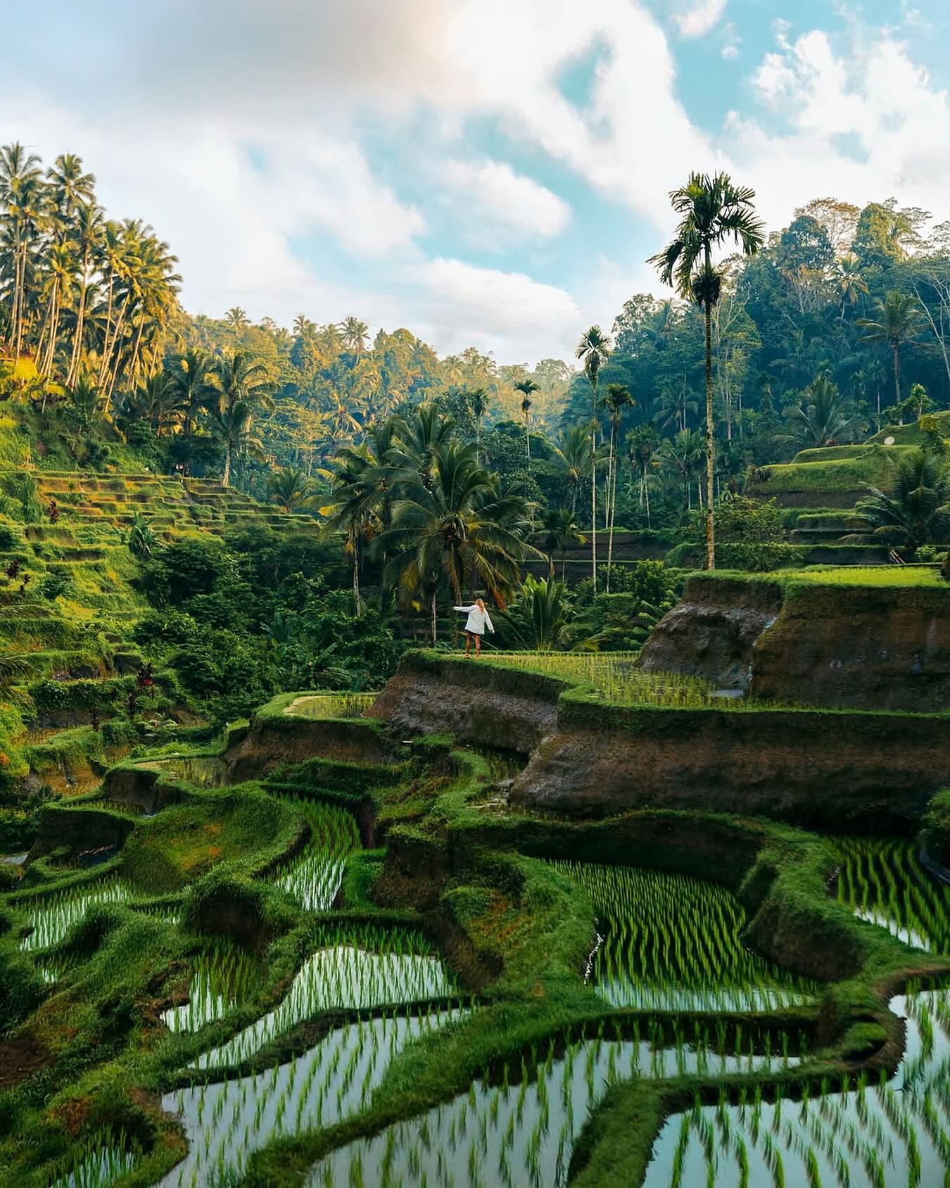 Ubud