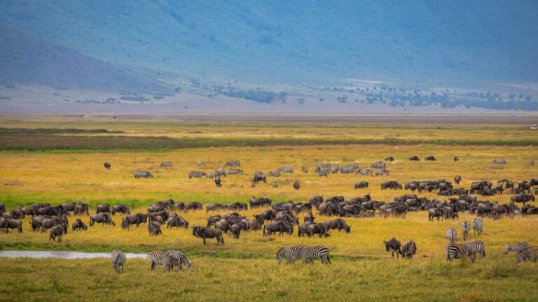 Best Places to Visit in Kenya