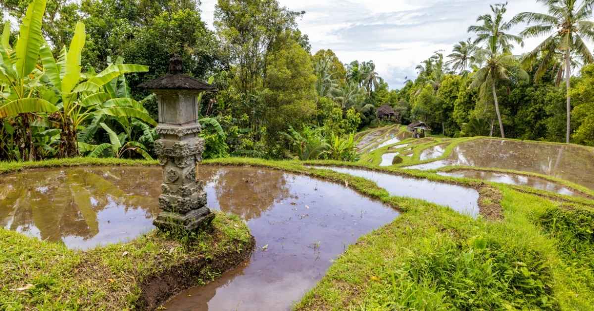 Places are Best to Visit in Bali in December (1)